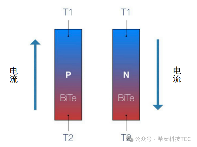 Paano gumagana ang TEC?